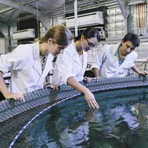 Photo of Marine Biology and Aquaculture Research