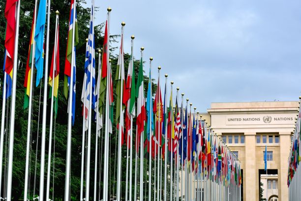 Different national flags on flag poles set against a blue sky and leading towards a large building with 'United Nations' written on the front. 